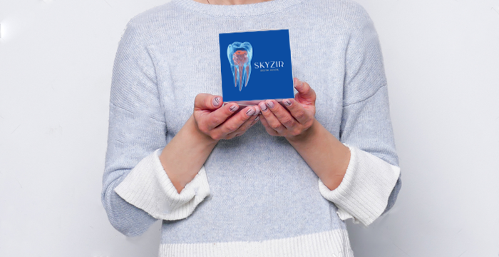 Skyzir Quick Delivery