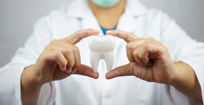 Product Specialists In The Market